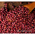 Red Bean Plant Piccoli fagioli rossi